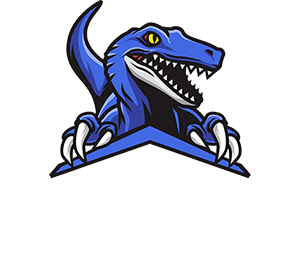 Raptor Roofing & Renovation